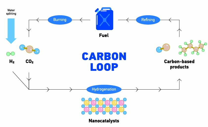Illustration of carbon loop