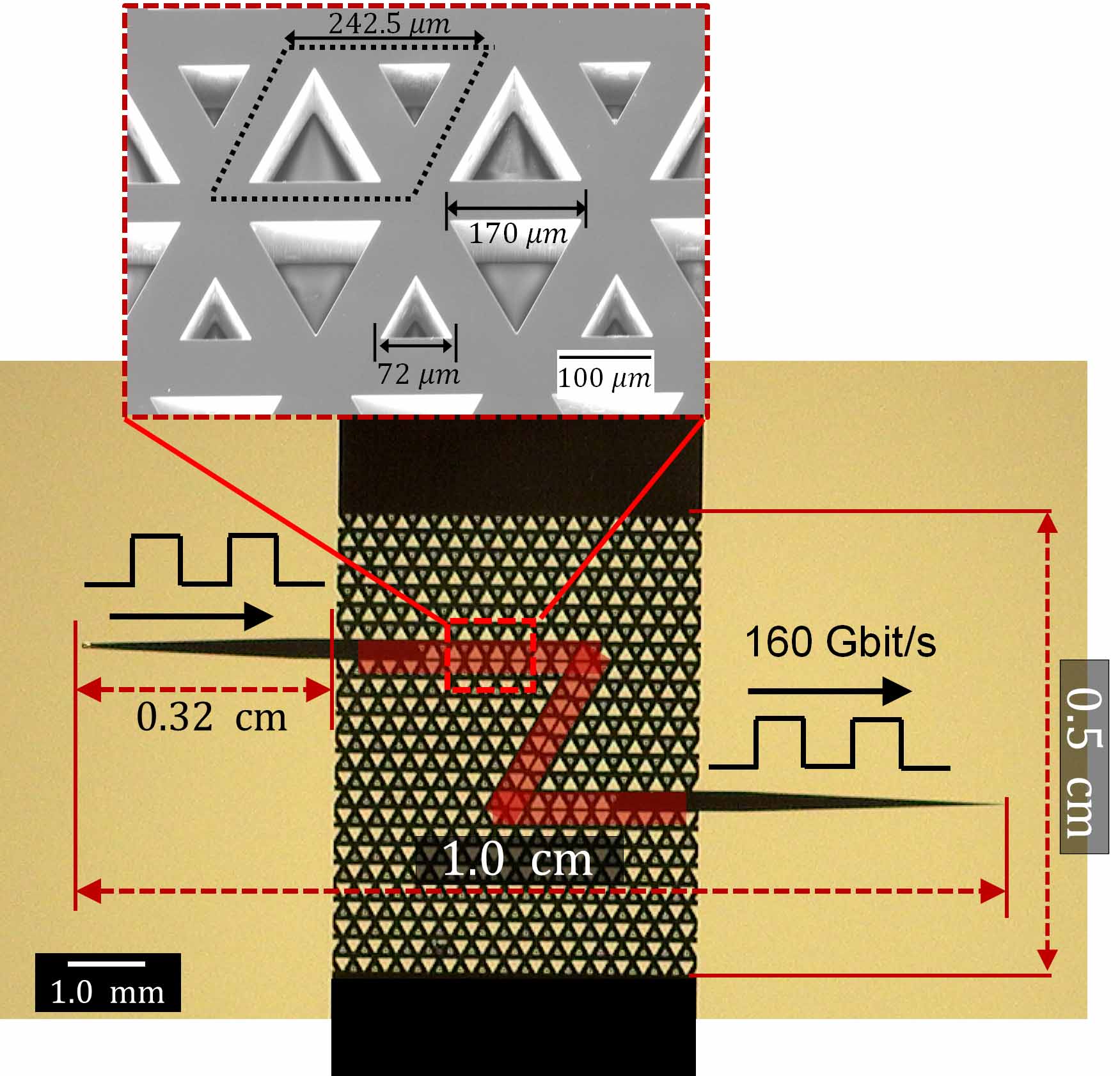 Silicon chip that transmits data