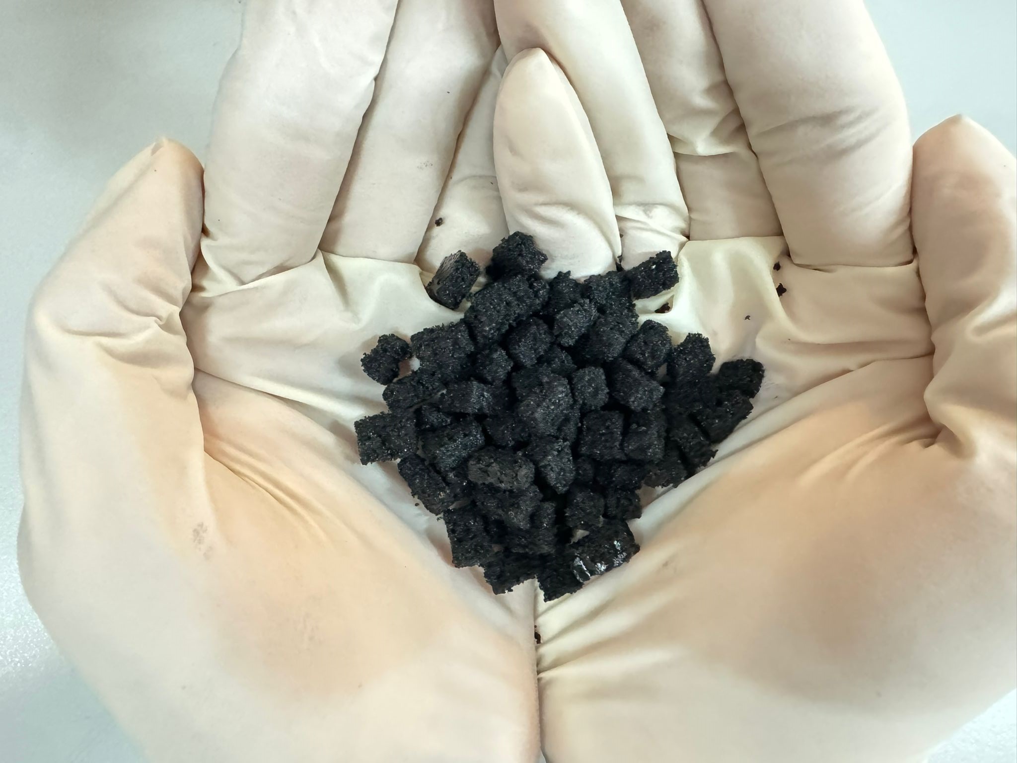 ABS sponge used to culture tumour cells