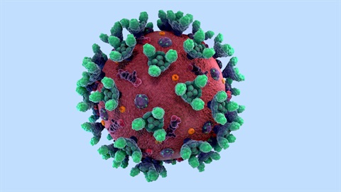 Coronavirus
