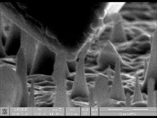 Diamond nanoneedle bends and bounces back