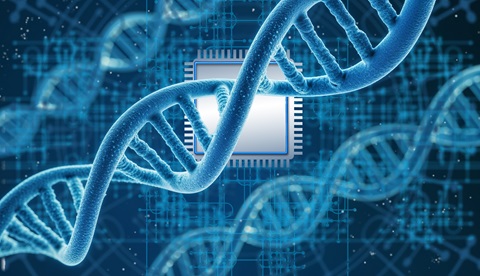 Stock image of DNA double helix and computer chip