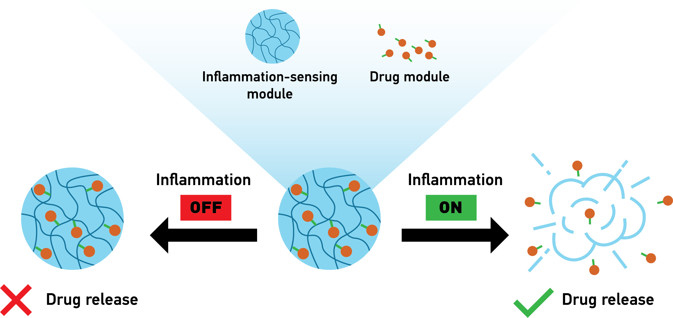 Drugs are released from the hydrogel during inflammation to relieve arthritis symptoms