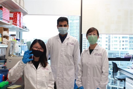 Oral insulin nanoparticles