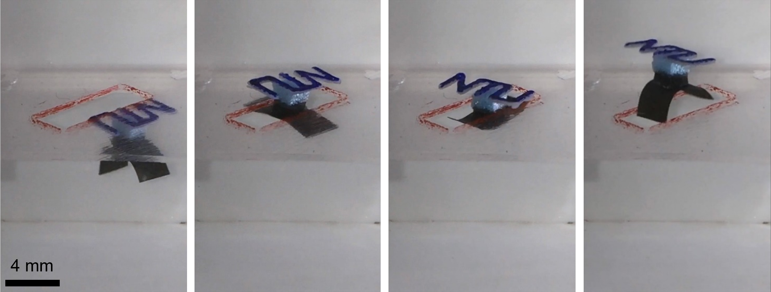Jellyfish robot swimming through a slit