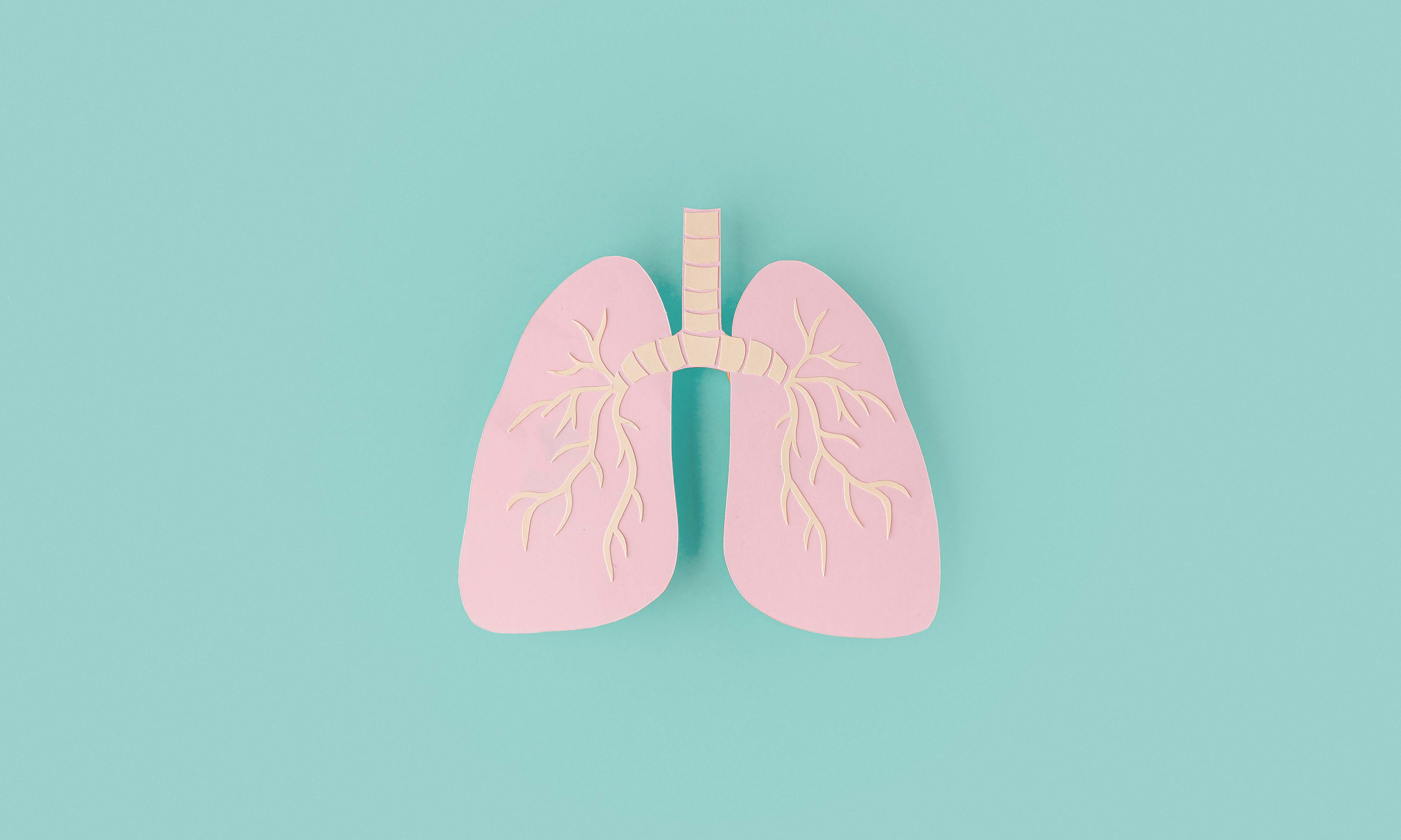 A pair of cartoon lungs