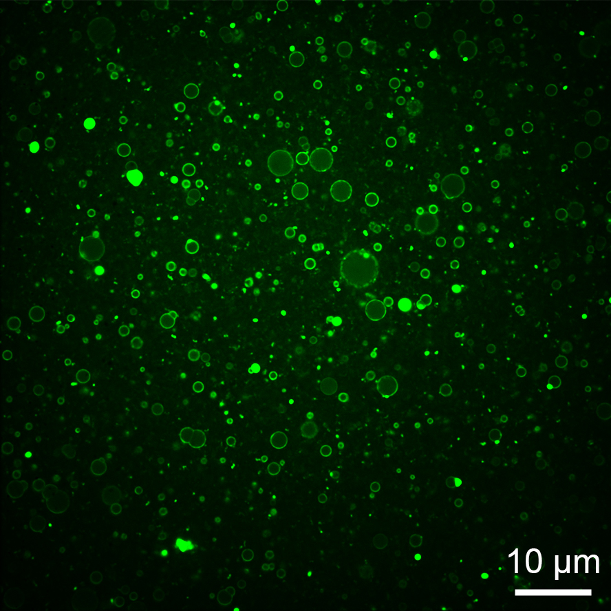 Photo of nanocapsules