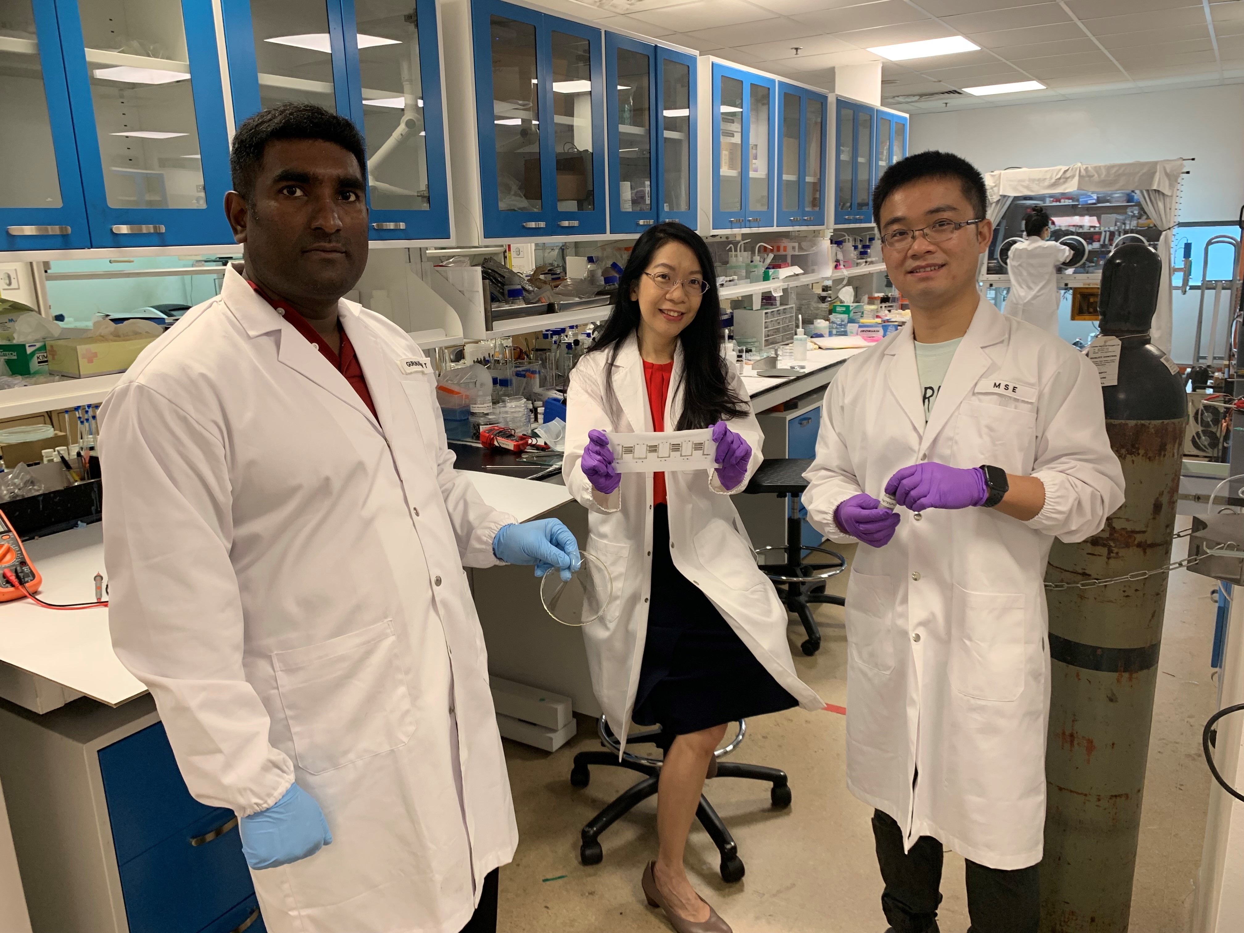 Dr Gurunathan Thangavel, Professor Lee Pooi See and Dr Lyu Jian