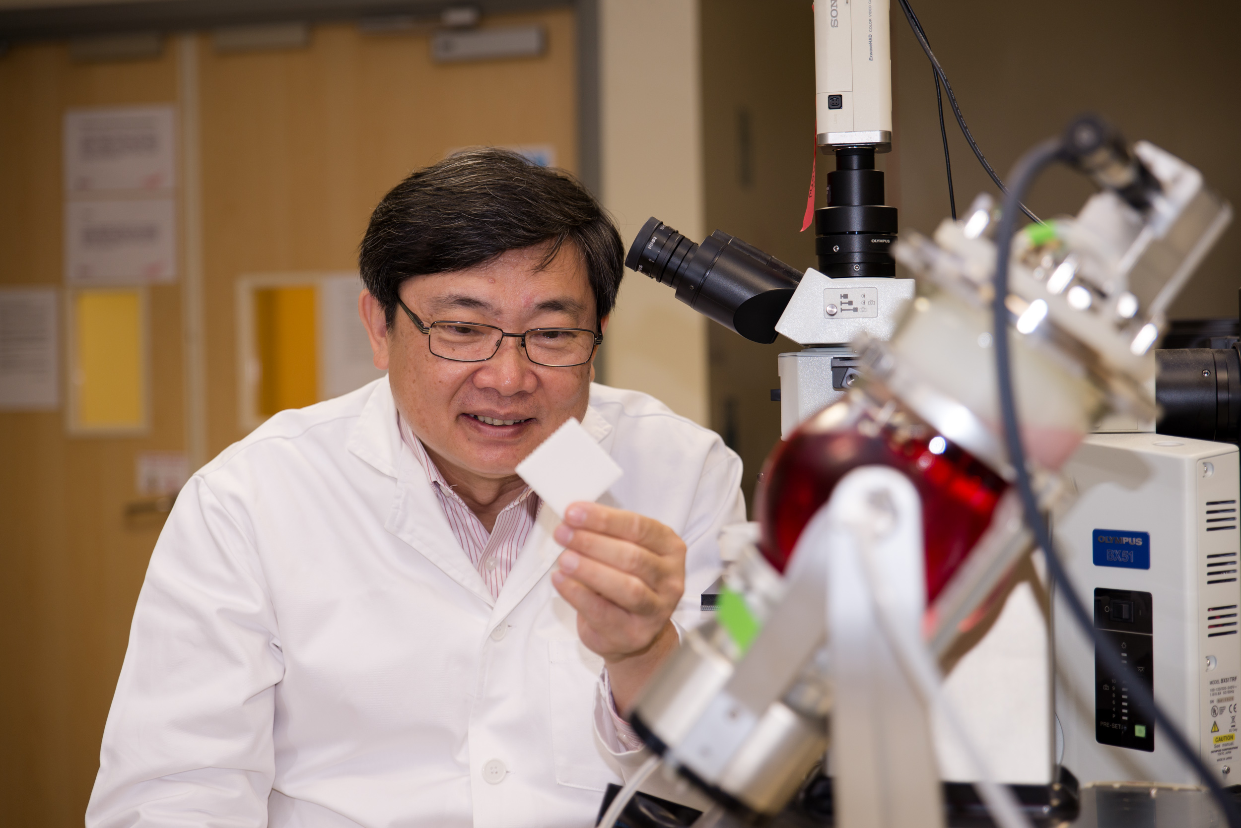 Prof Teoh Swee Hin looking at a sample