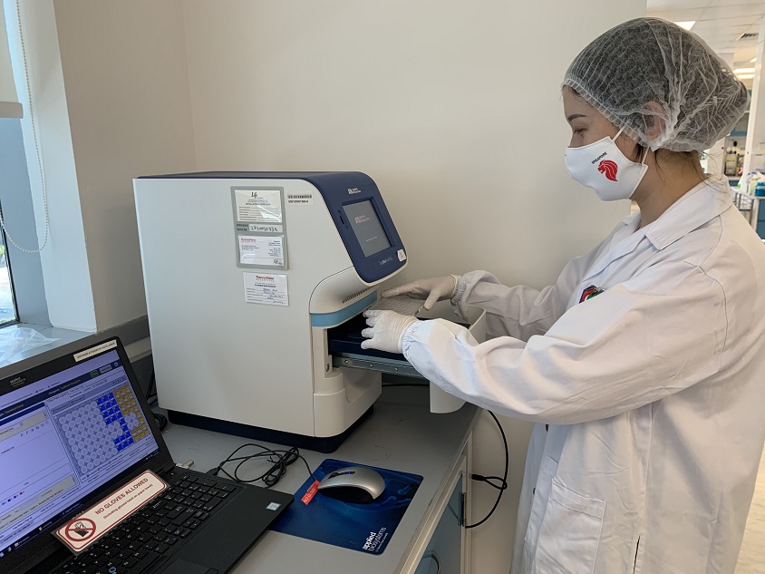 qPCR to detect viruses