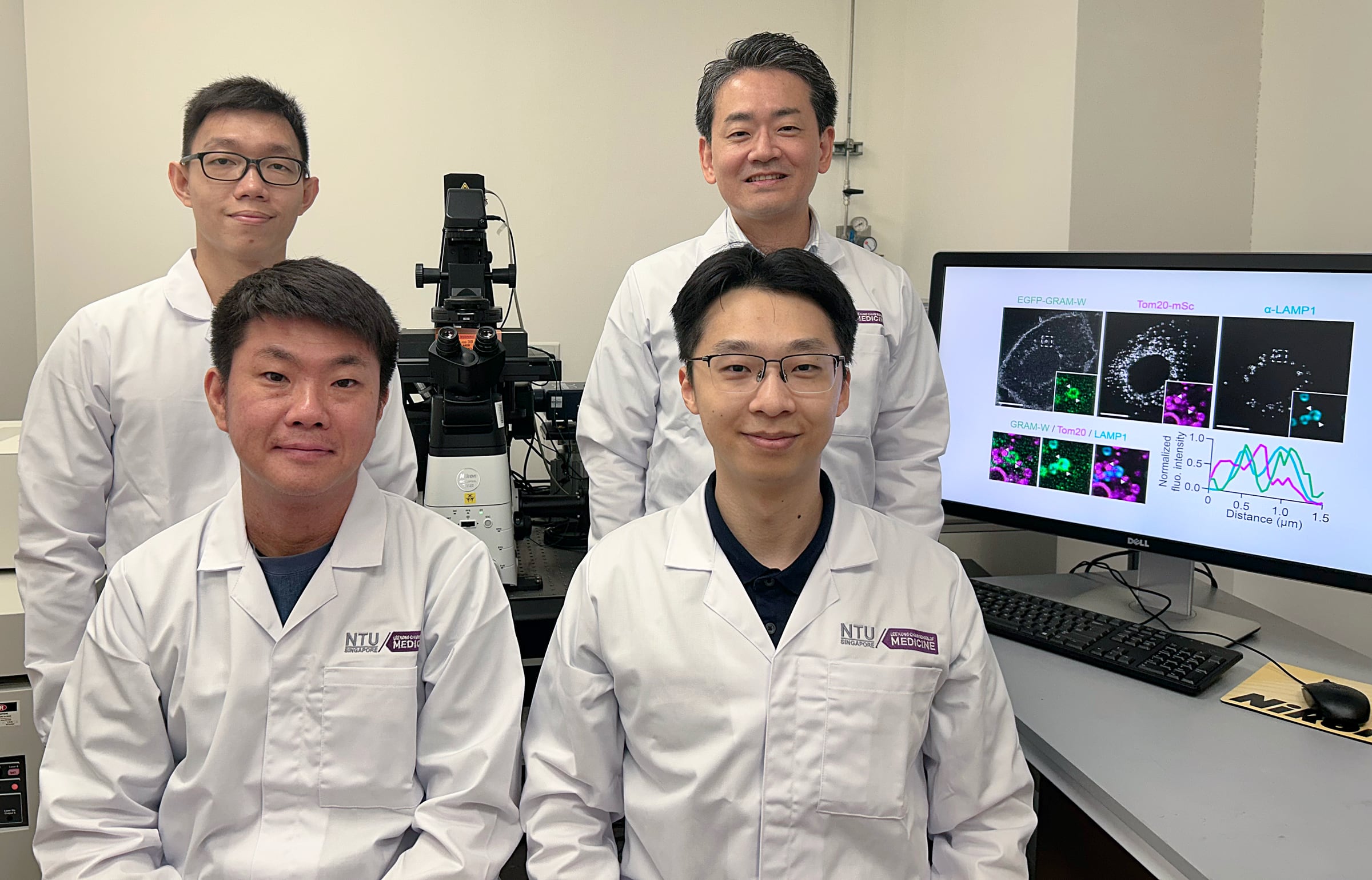 From top left clockwise: Dr Dylan Hong Zheng Koh, Assoc Prof Yasunori Saheki, Dr Yang Haoning, and Dr Wataru Nishi are part of the LKCMedicine research team that discovered the importance of cholesterol in helping our cells.