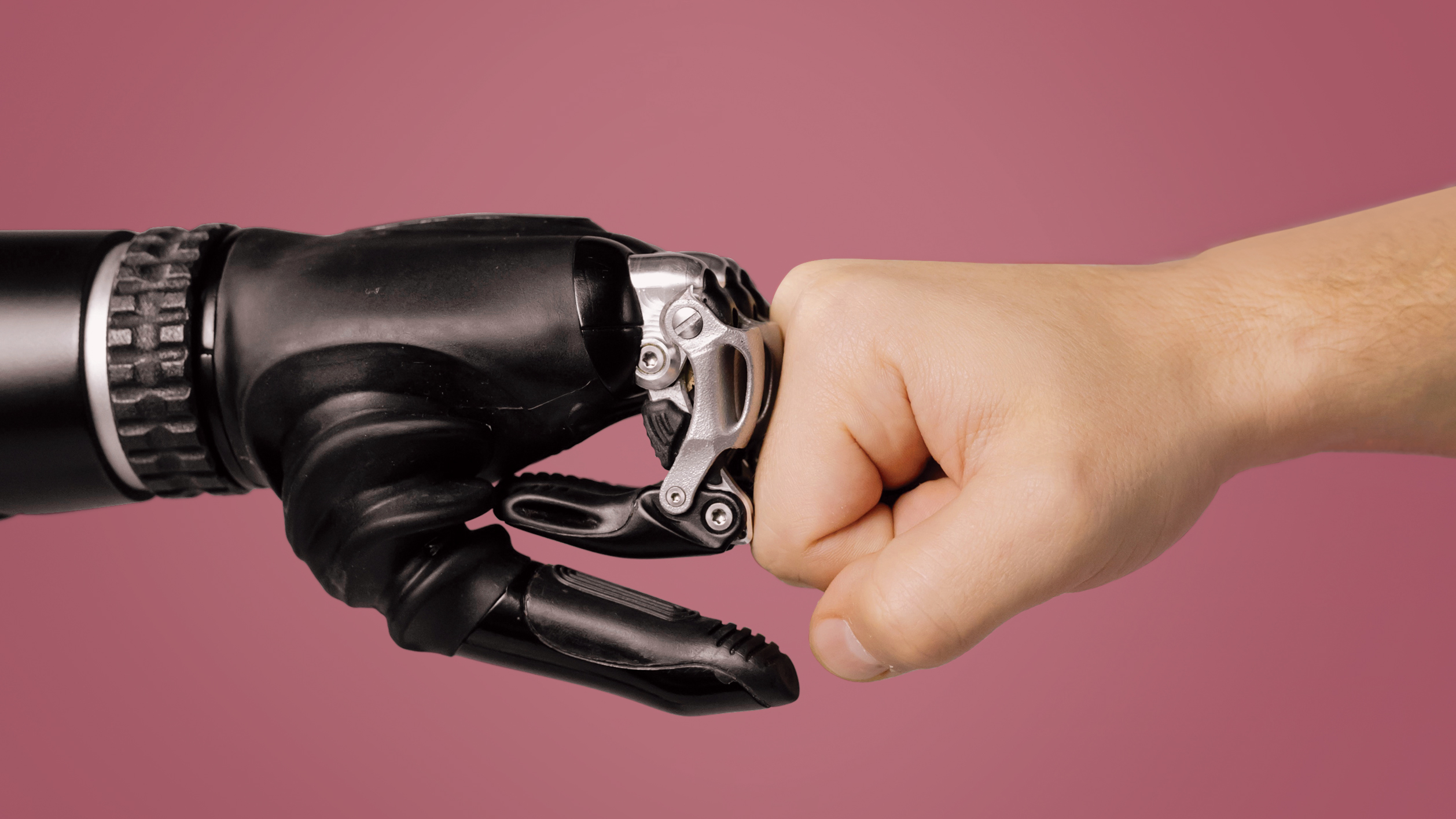 Robots on the horizon