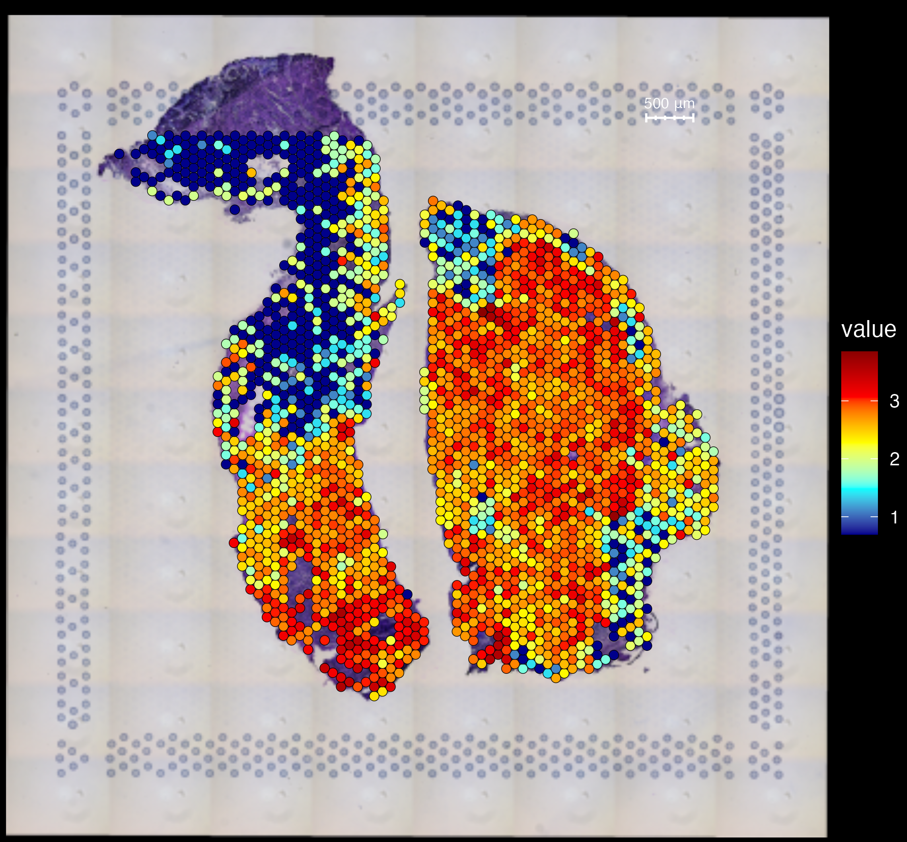 Map of activity of heart regeneration genes