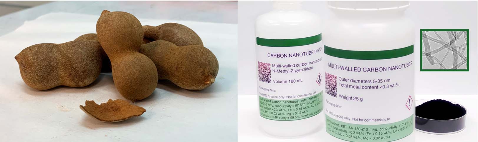 Tamarind shells and carbon nanotubes