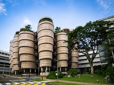 The Hive in the day time