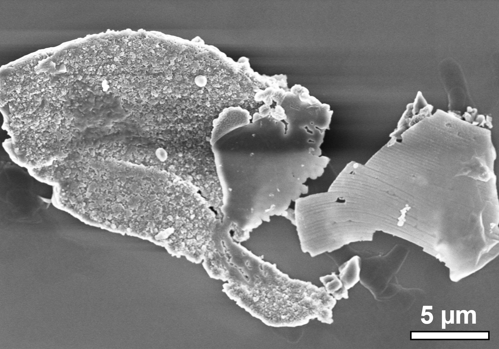 Catalyst showing smooth and rough sides