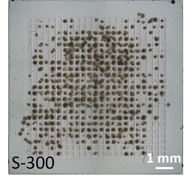 Waffle-inspired medical device for diabetes treatment