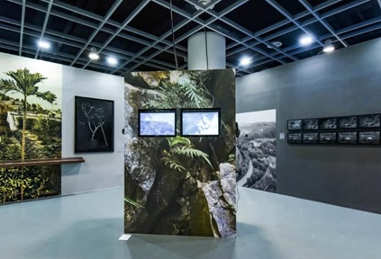 "The Natural History of an Island" Jimei Arles International Photo Festival