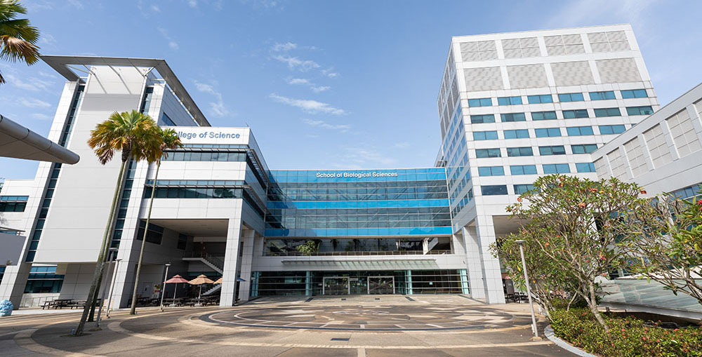 NTU SBS Building