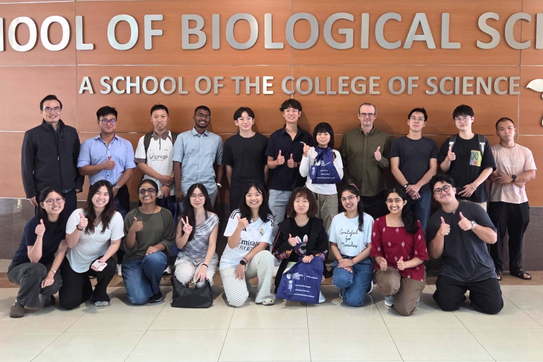 AY2026 New Postgraduate Students