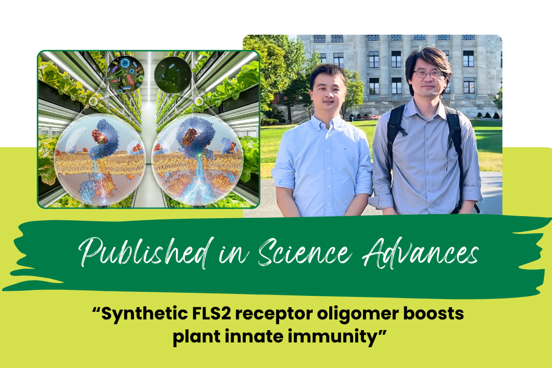 Blog_Miao Yansong_Science Advances_Sep2026