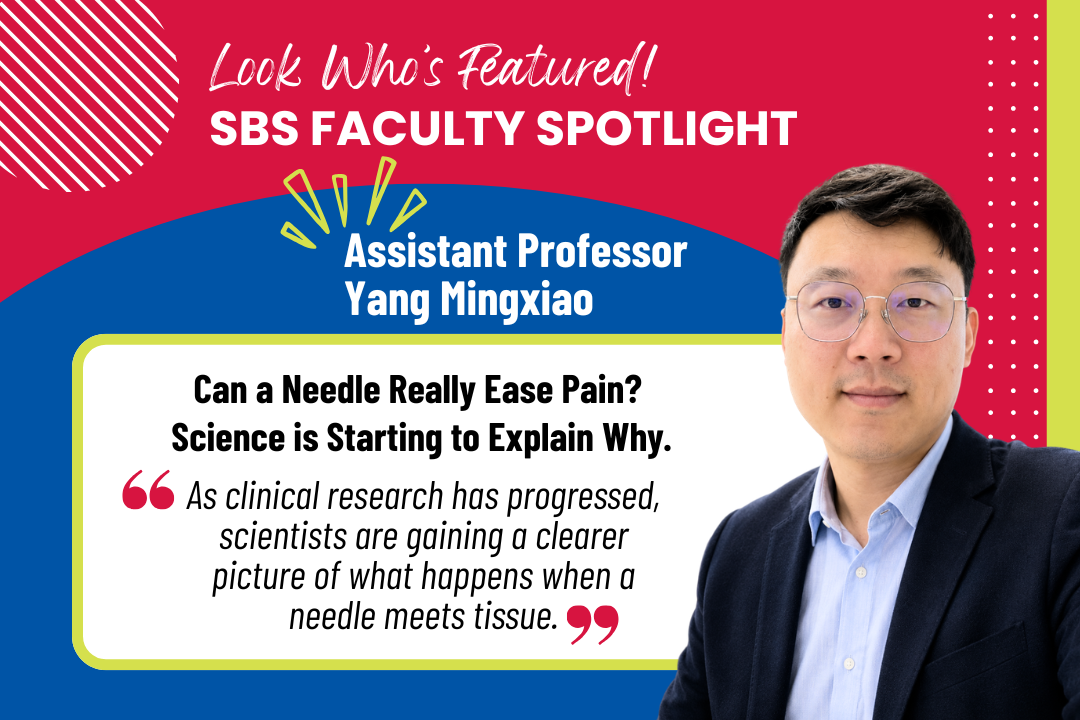 Website_SBS Faculty Spotlight_Yang Mingxiao