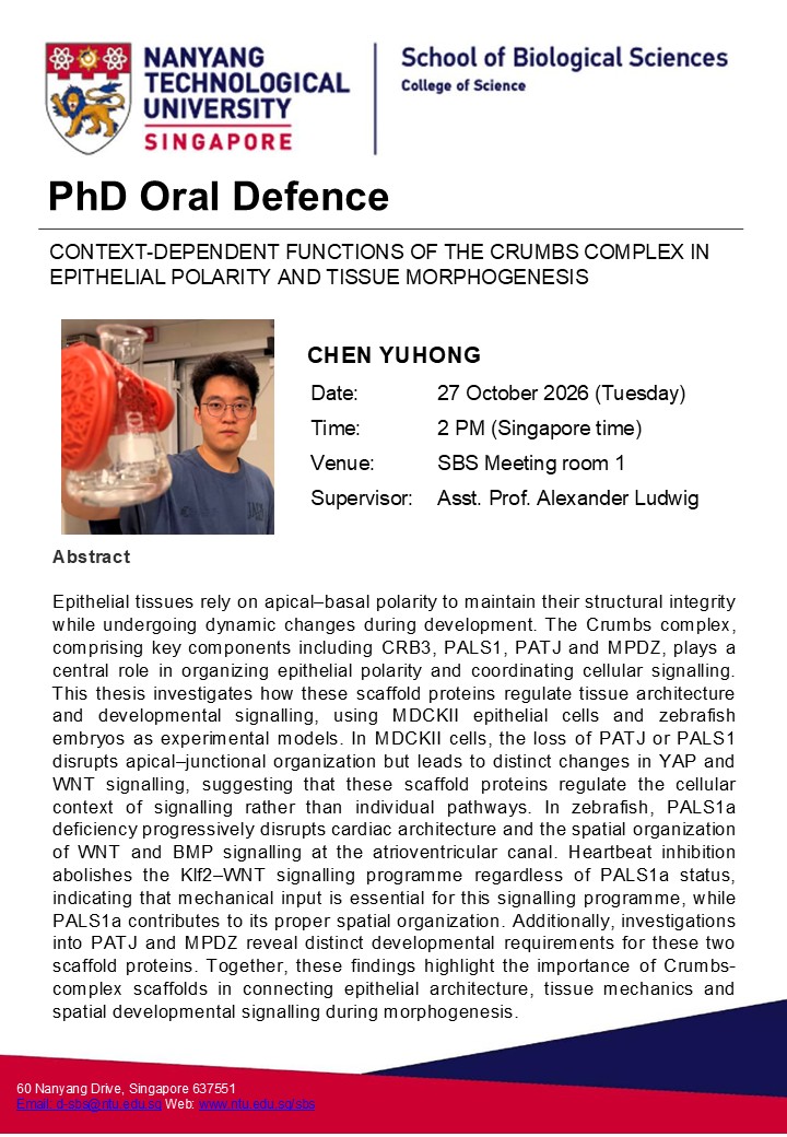 Chen Yuhong
