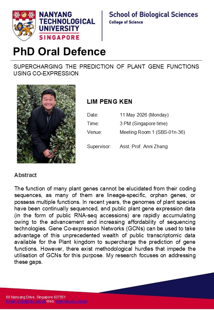 Lim Peng Ken