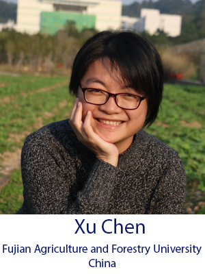 Xu Chen