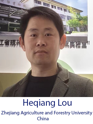 Heqiang Lou