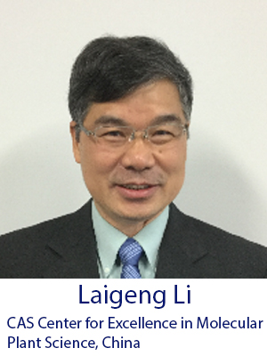 Laigeng Li