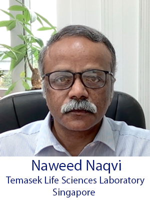 Naweed NAQVI