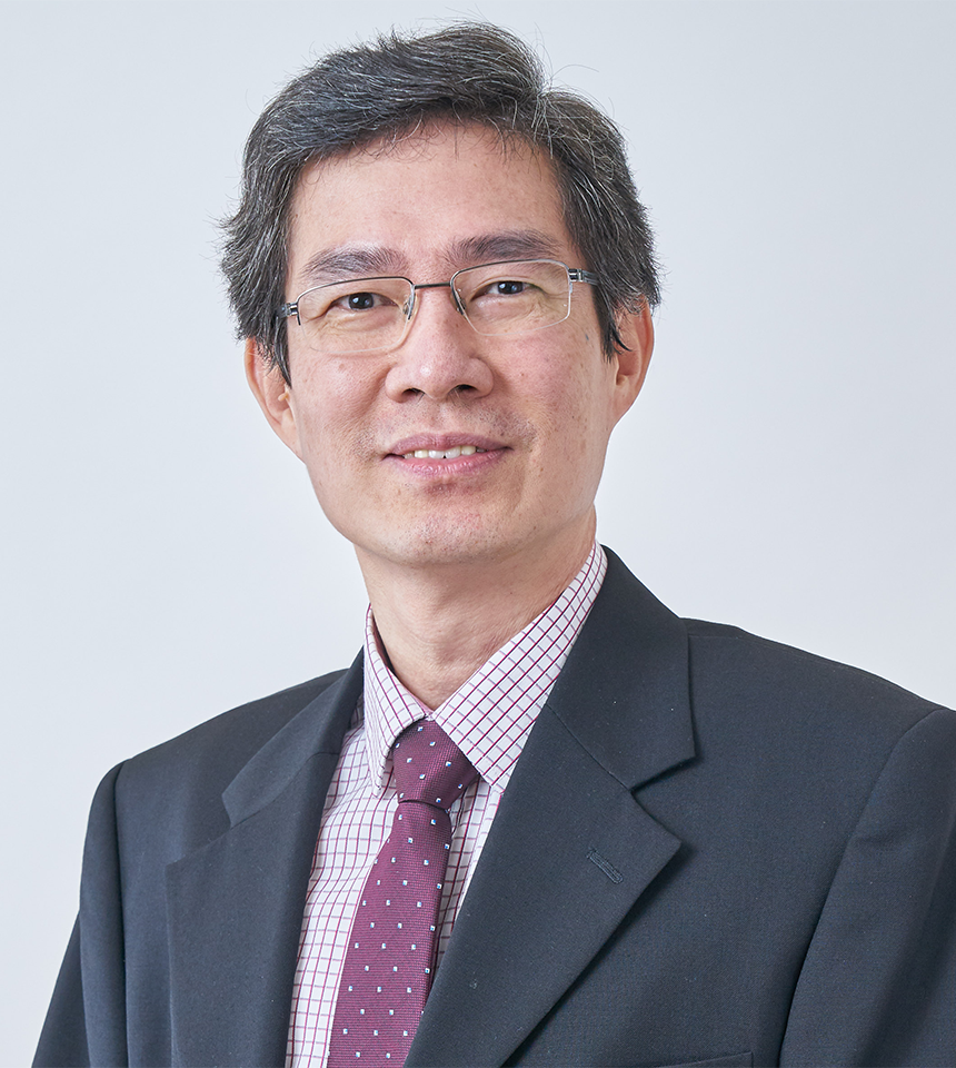 Prof Teik Thye LIM
