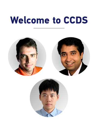 New Faculty at CCDS