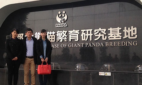 In this collaboration, Chengdu Research Base of Giant Panda Breeding, Sichuan Normal University and NTU form a research team to develop AI techniques to count Giant Panda.