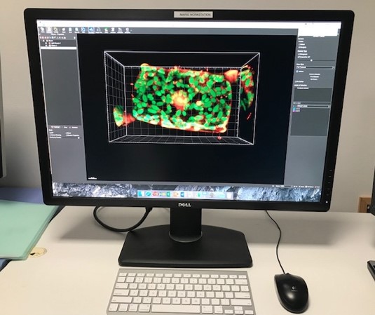 IMARIS workstation