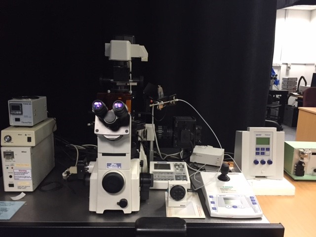 Nikon Microinjector