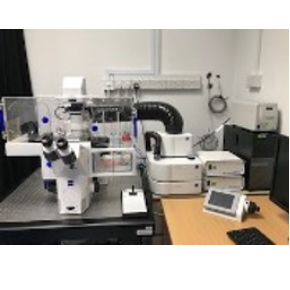 Zeiss Live Cell Observer II