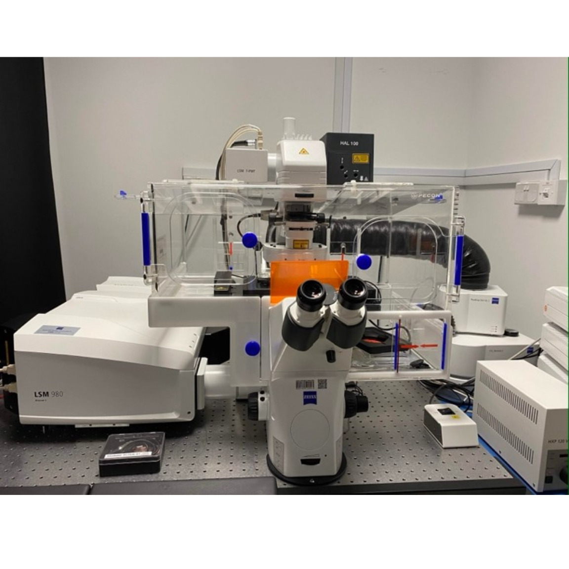 Zeiss LSM 980 with Airyscan 2 Confocal Microscope