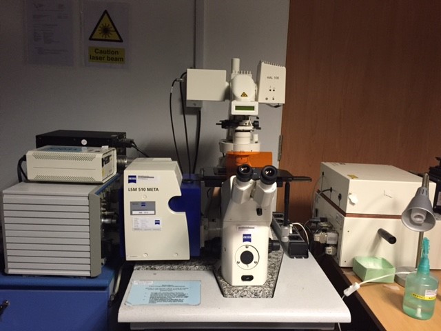 Zeiss LSM 510 Confocal