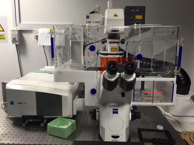 Zeiss LSM 710 Confocal