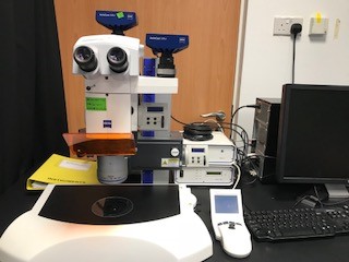 Zeiss Stereo Lumar V12