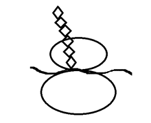 PPP