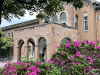 University