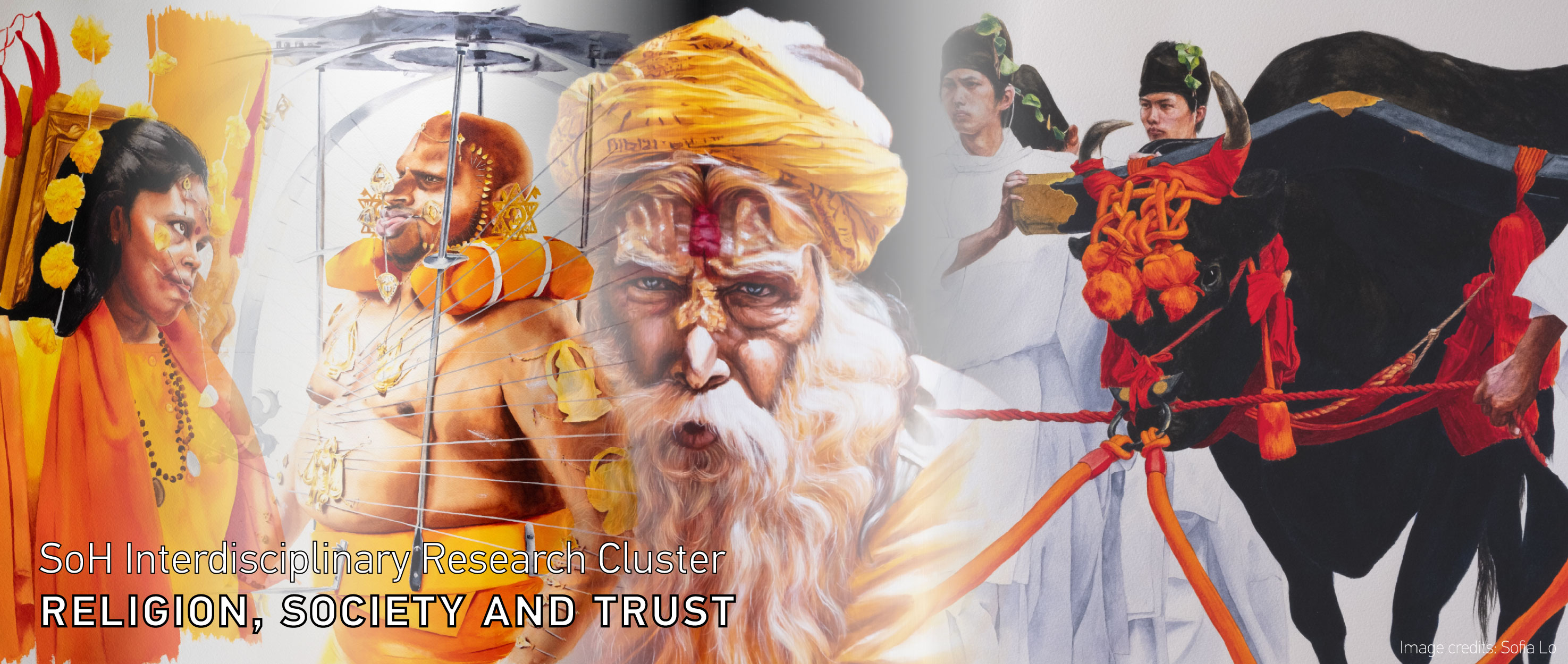 IDC-CRICI-Banner-01