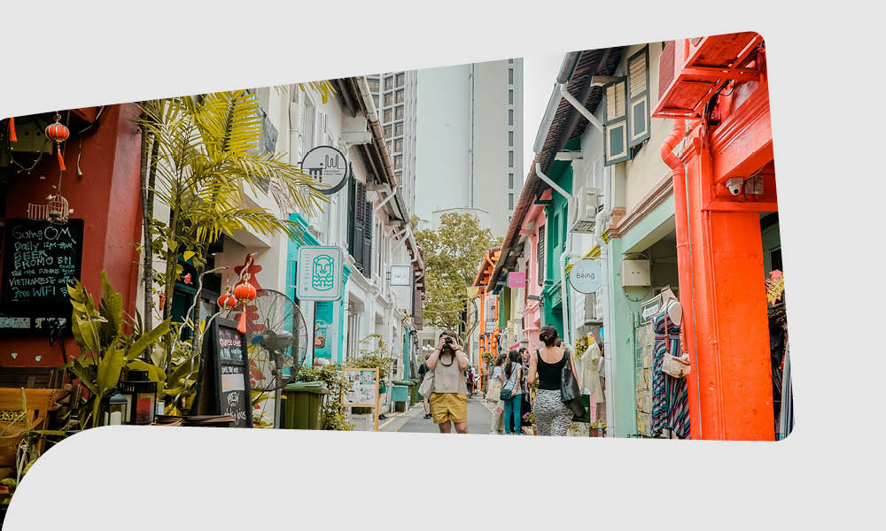 Singapore Studies