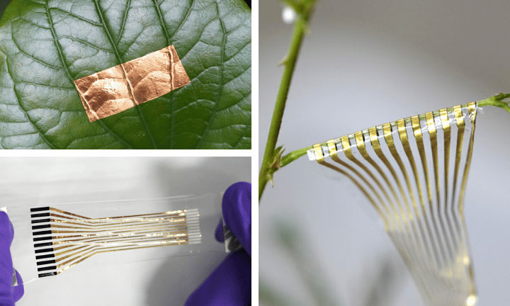 Dry composite, Ti3C2Tx MXene and photographs of the low-drift electrode array