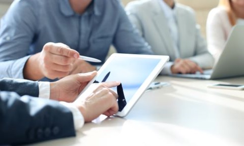 Consultant providing advice to business professionals