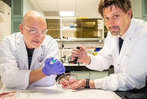 NTU Singapore scientists develop “biorubber” glue for faster surgical recovery and pain relief – Associate Professor Terry Steele Published on: 01-Sep-2020