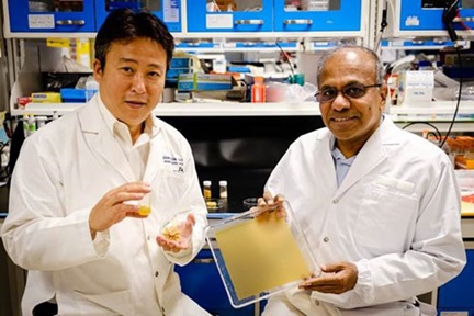 ​Pollen: An Immediate Solution from Nature - Prof Subra Suresh and Prof Cho Nam-Joon